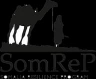 Somalia Resilience Program (SomReP) Somalia Resilience Program (SomReP)